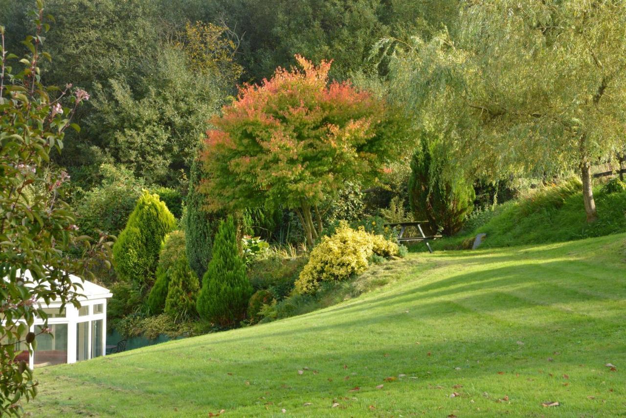 Bed and Breakfast Bryn Hebog Carmarthen Zewnętrze zdjęcie